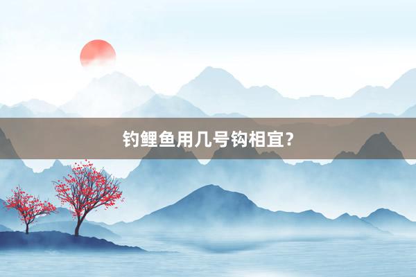 钓鲤鱼用几号钩相宜？